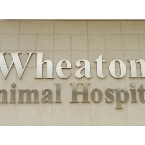 Wheaton Animal Hospital Sign